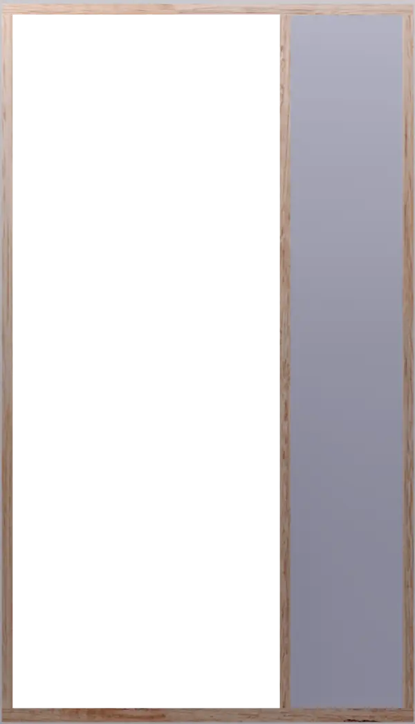 TFS1