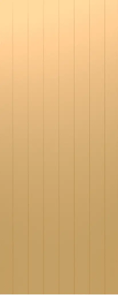 RMVJ100.png