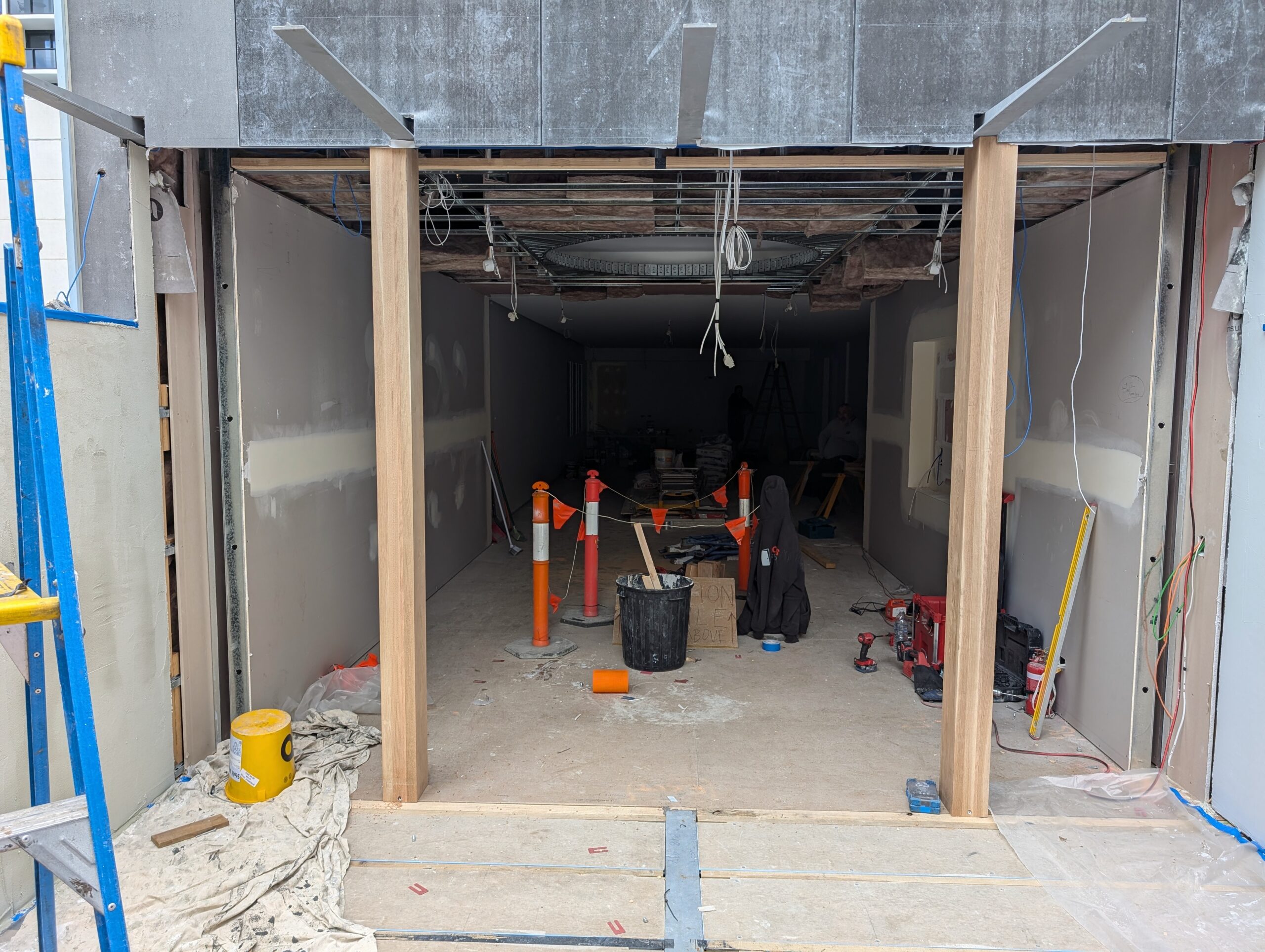 Pivot Door in South Yarra